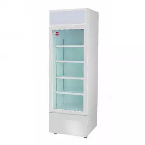 EXPOSITOR VERTICAL TOKYO-FRIO SECO MD CGTOKVS540FS 1P 540L COM/495L NETO